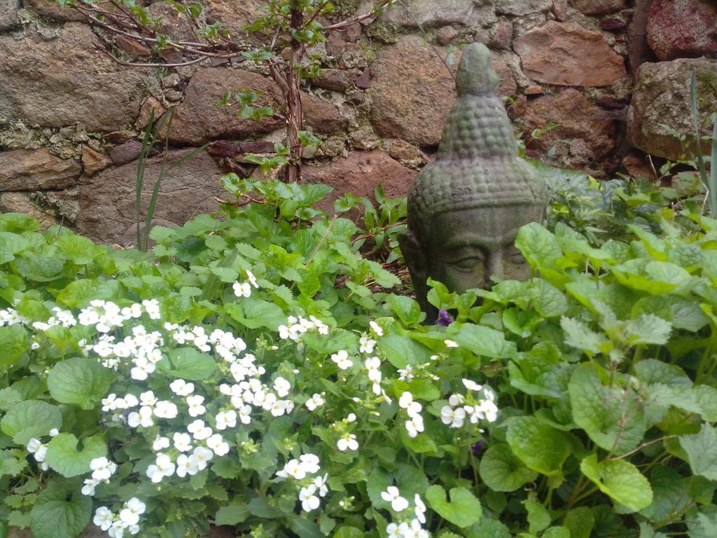 Le Bousquet-d'Orb Le Clos De La Source B&B 외부 사진